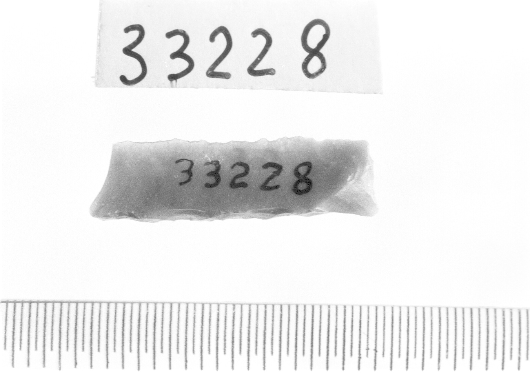 lamella a dorso e troncatura normale/ frammento - Epigravettiano (Paleolitico superiore)