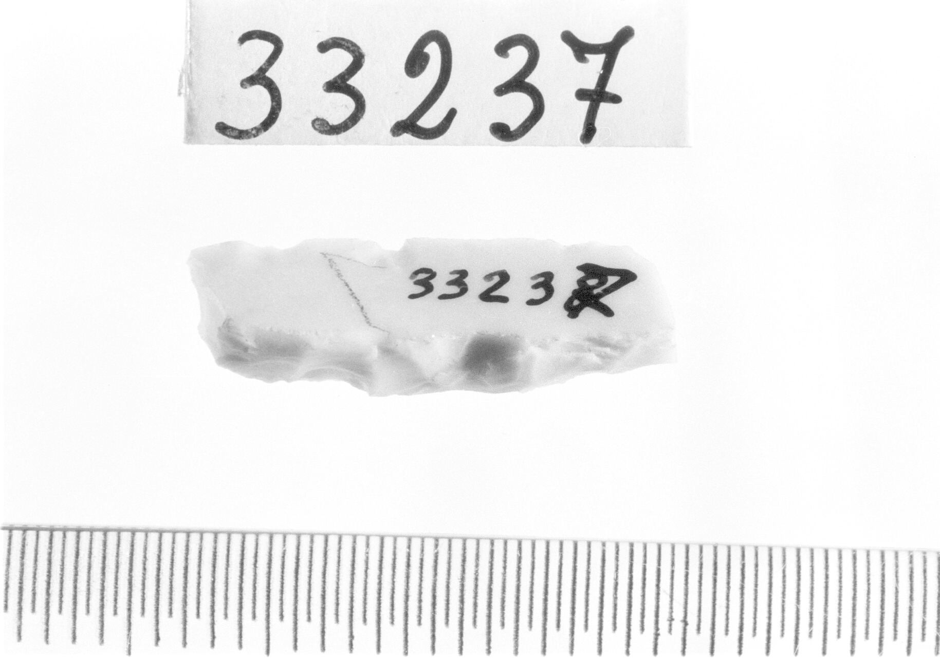 lamella a dorso e troncatura obliqua/ frammento - Epigravettiano (Paleolitico superiore)