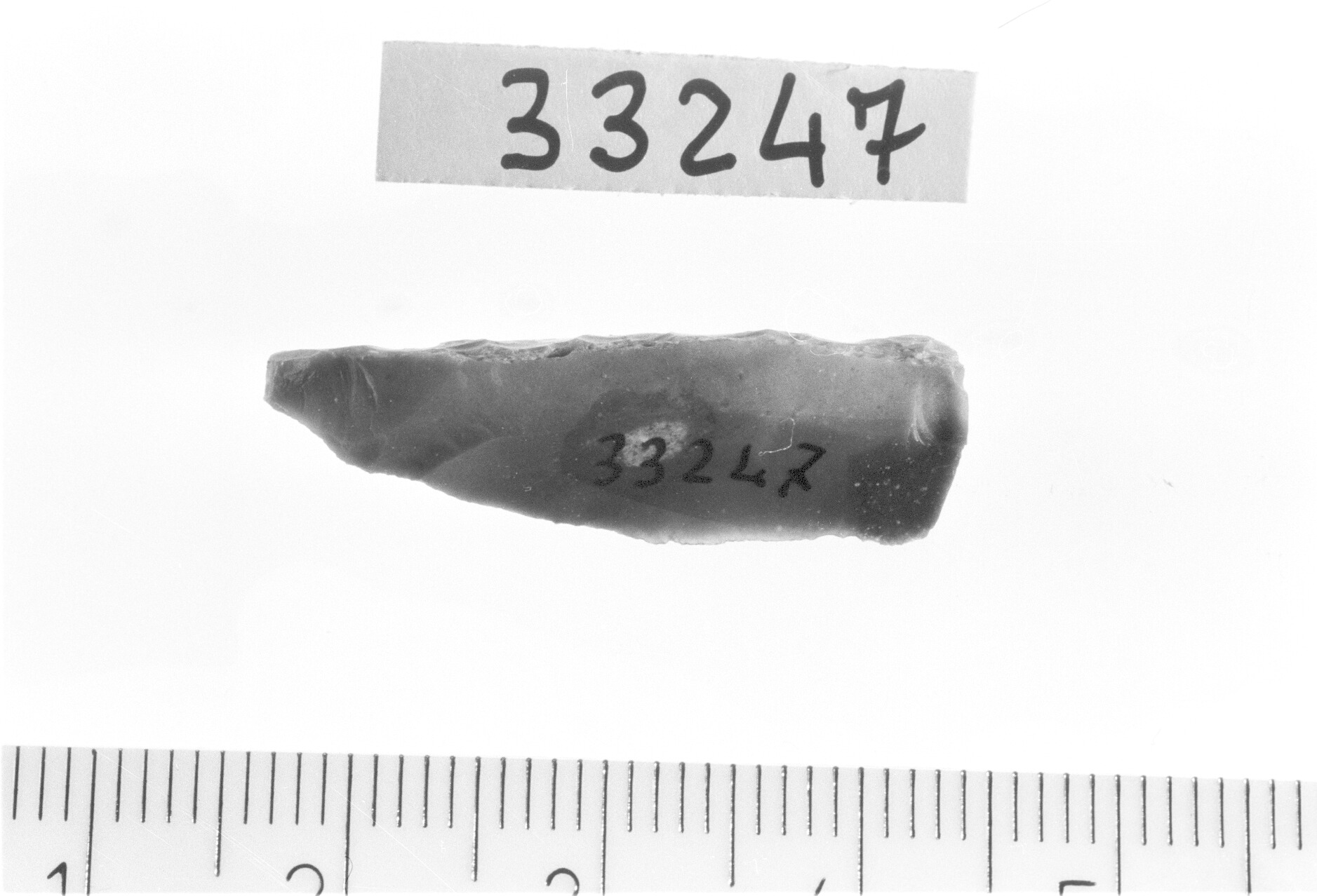 punta a dorso totale/ frammento - Epigravettiano (Paleolitico superiore)