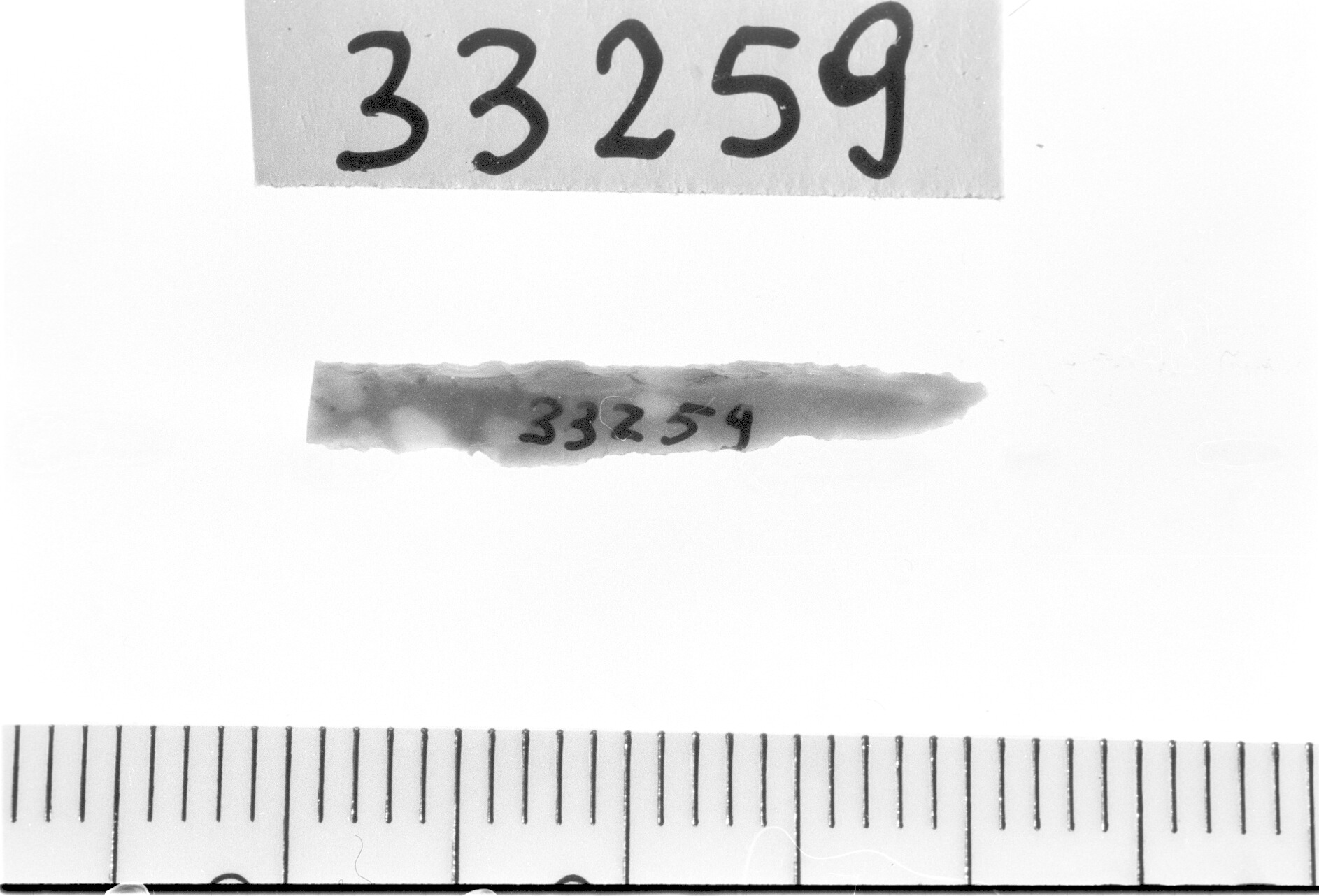 punta a dorso totale/ frammento - Epigravettiano (Paleolitico superiore)