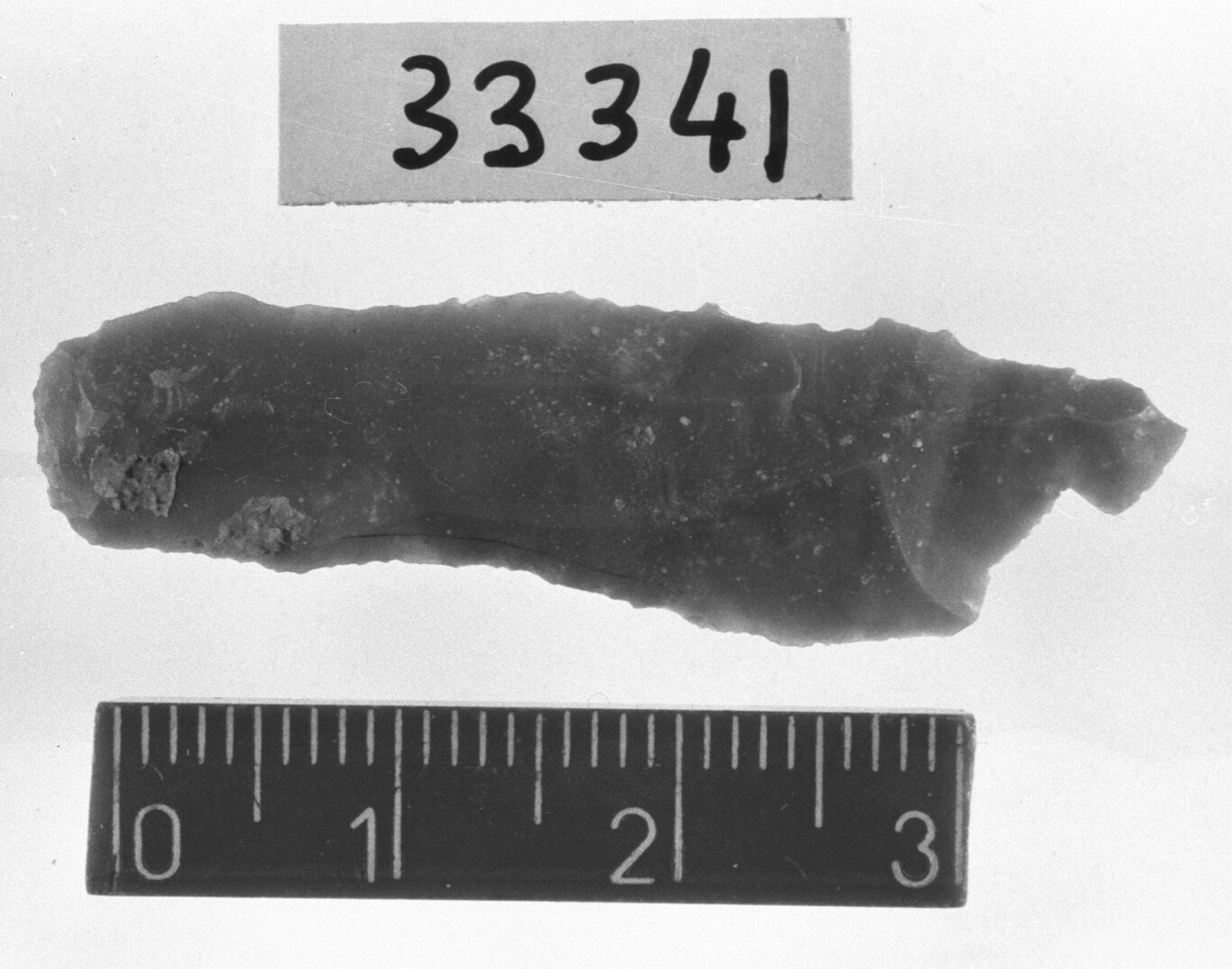 lama-raschiatoio profondo - Epigravettiano (Paleolitico superiore)