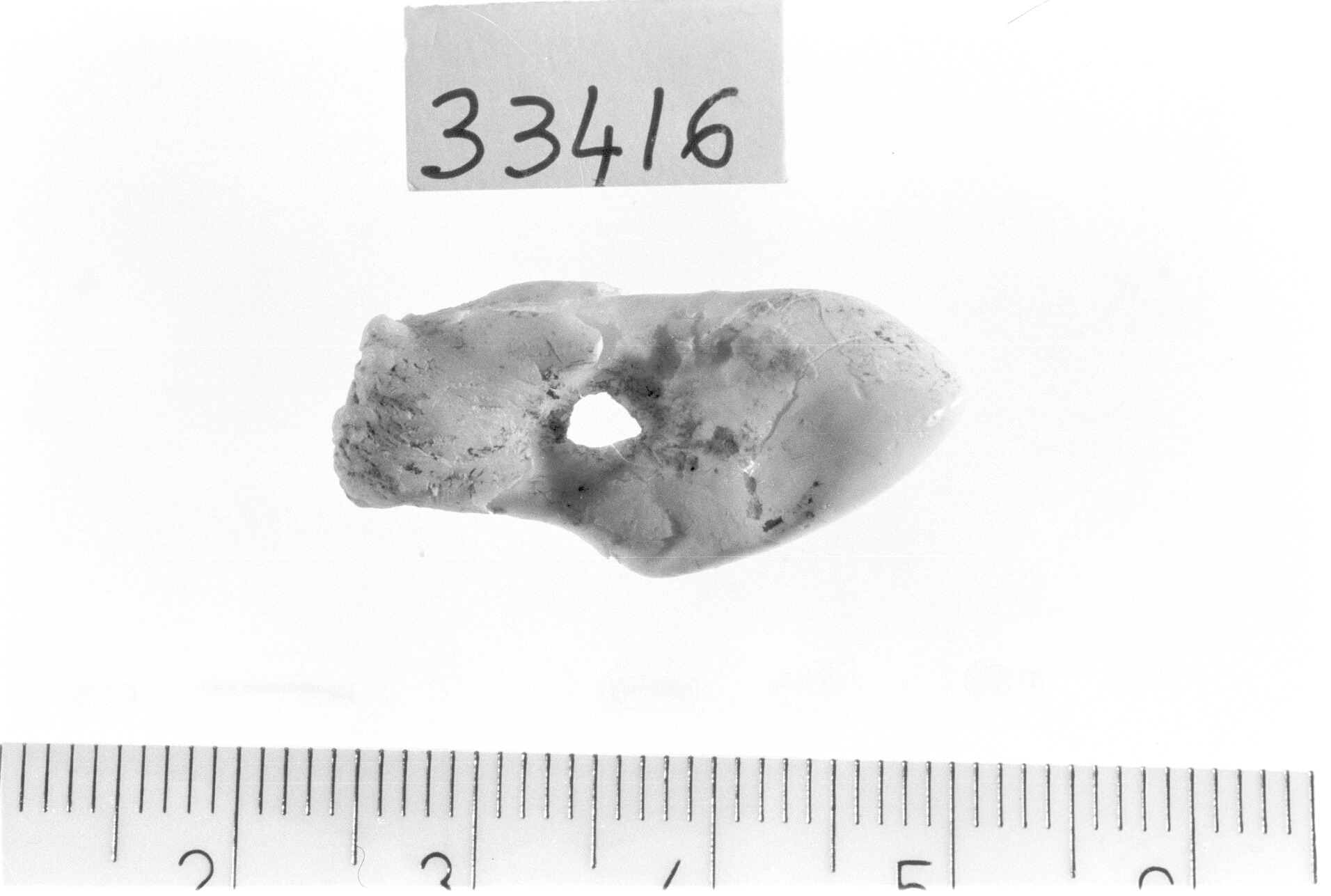 pendente - Epigravettiano (Paleolitico superiore)