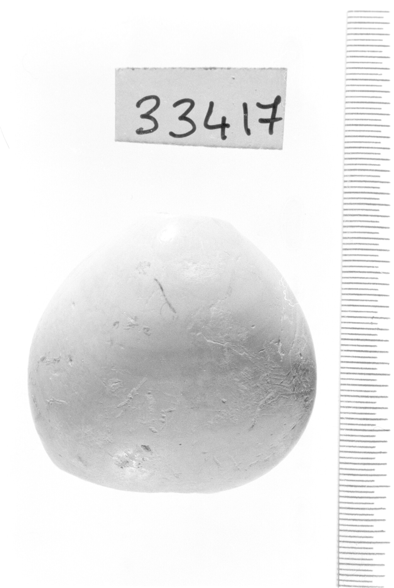 conchiglia perforata - Epigravettiano (Paleolitico superiore)