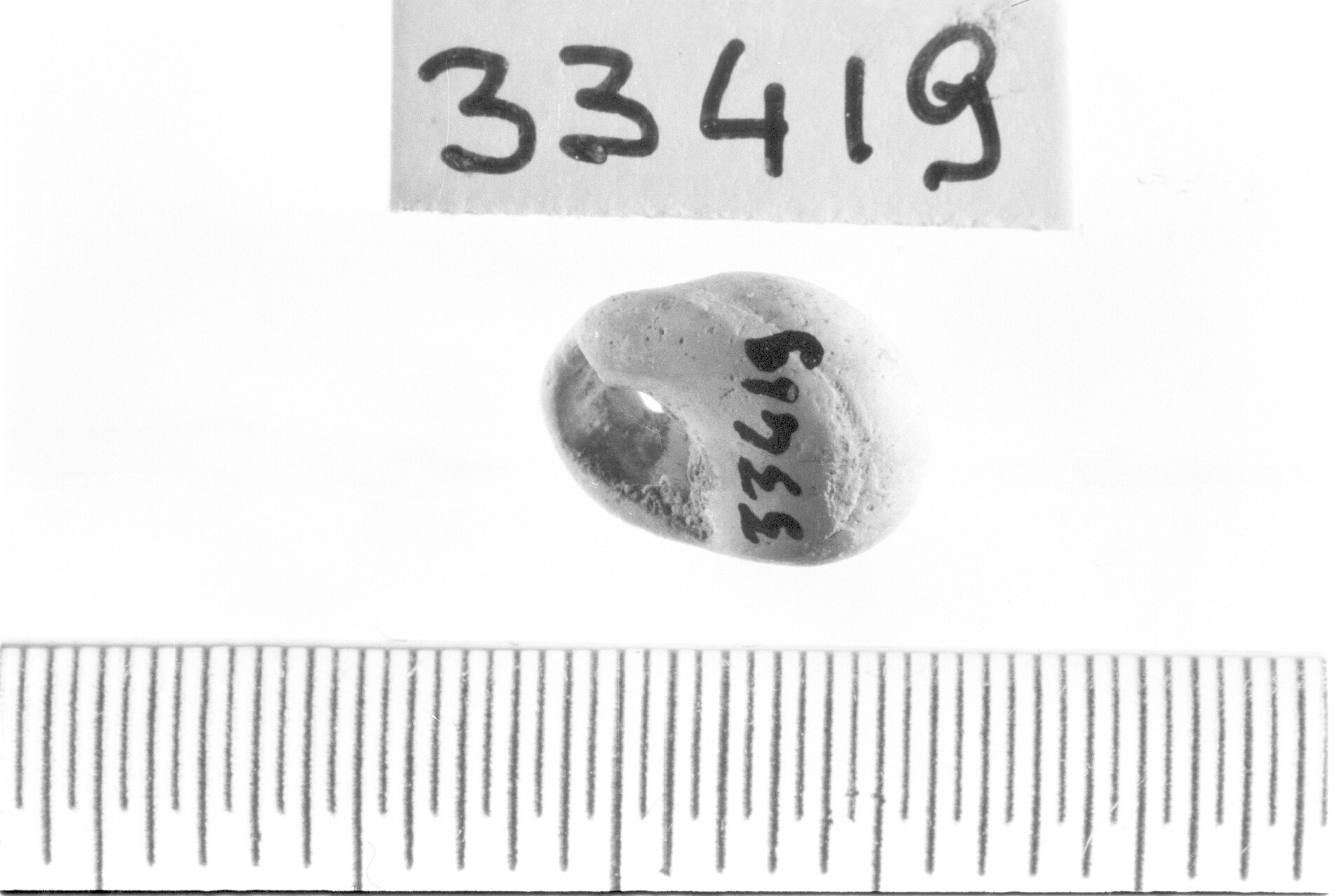 conchiglia perforata - Epigravettiano (Paleolitico superiore)