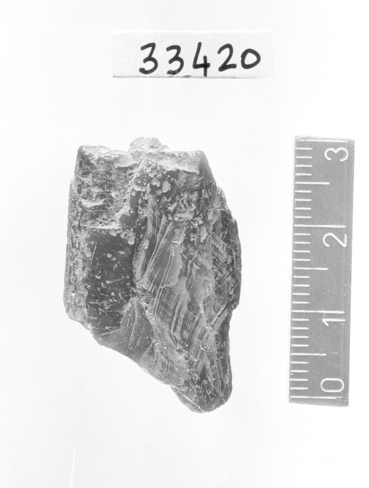 steatite/ frammento - Epigravettiano (Paleolitico superiore)