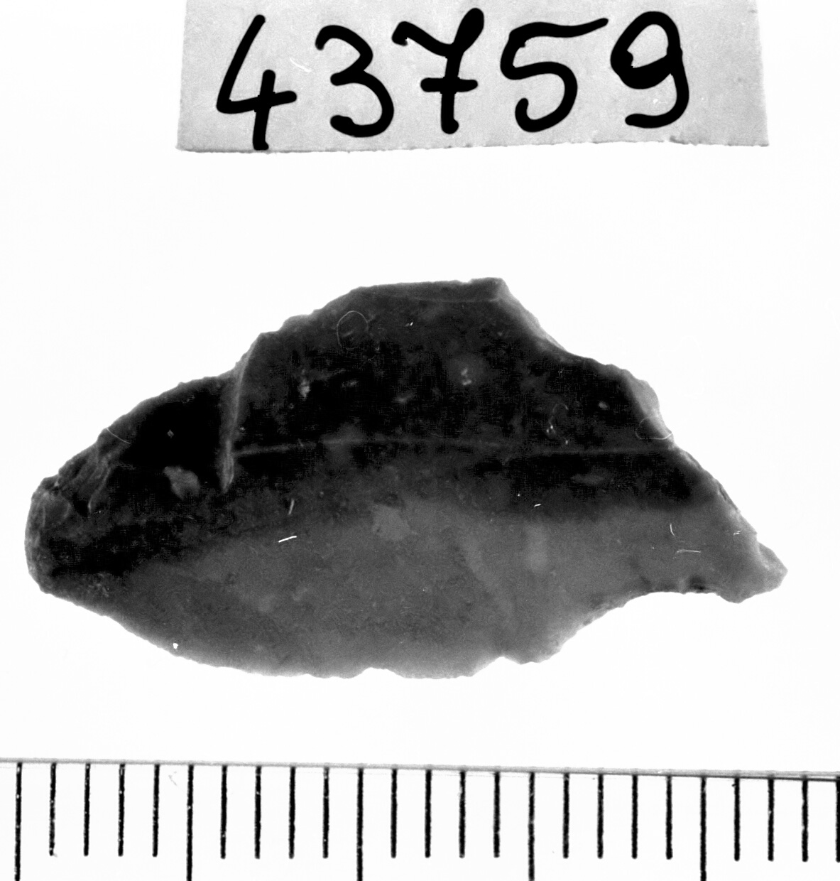 becco troncatura - Epigravettiano (Paleolitico superiore)