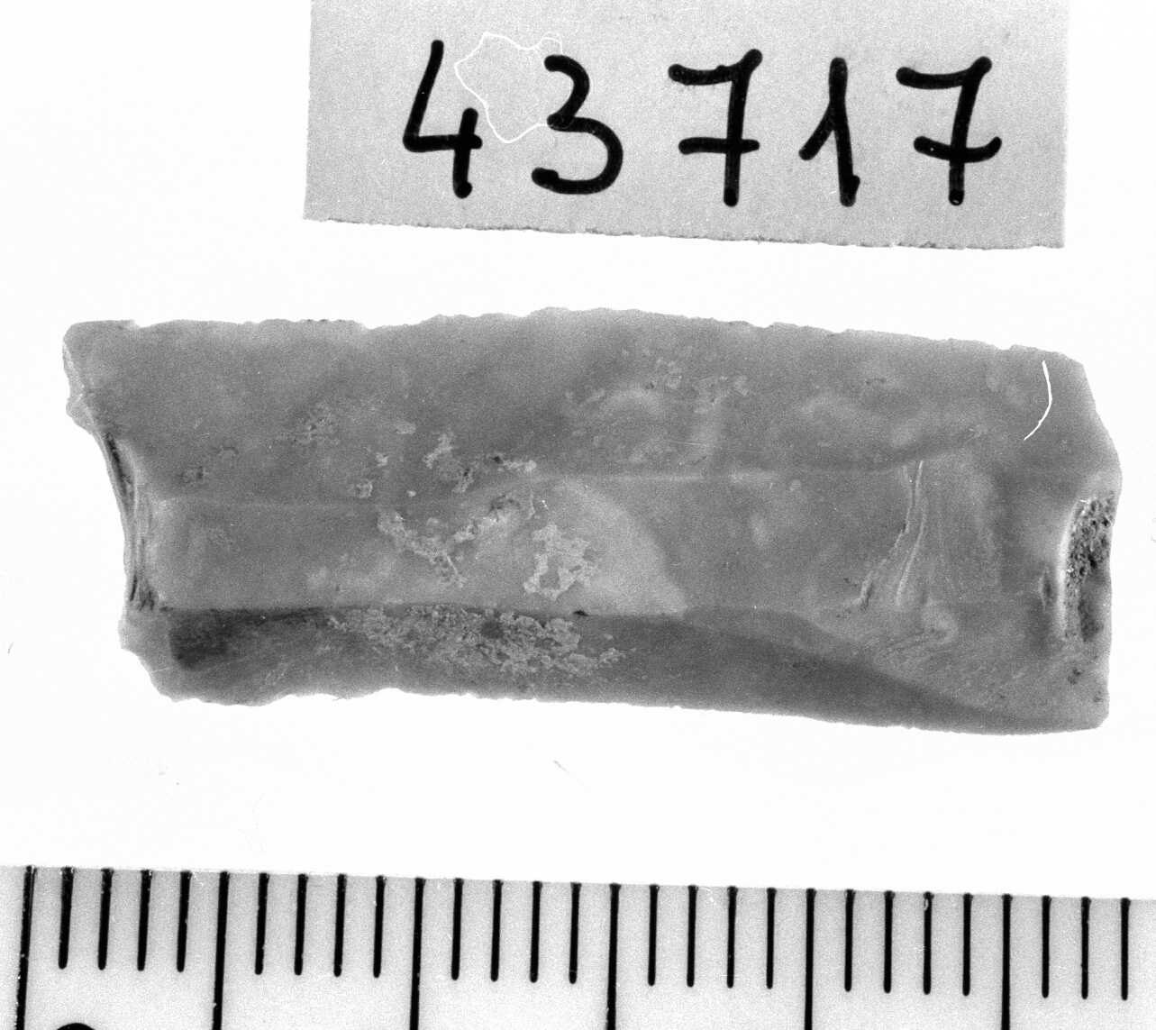 troncatura marginale concava/ frammento - Epigravettiano (Paleolitico superiore)