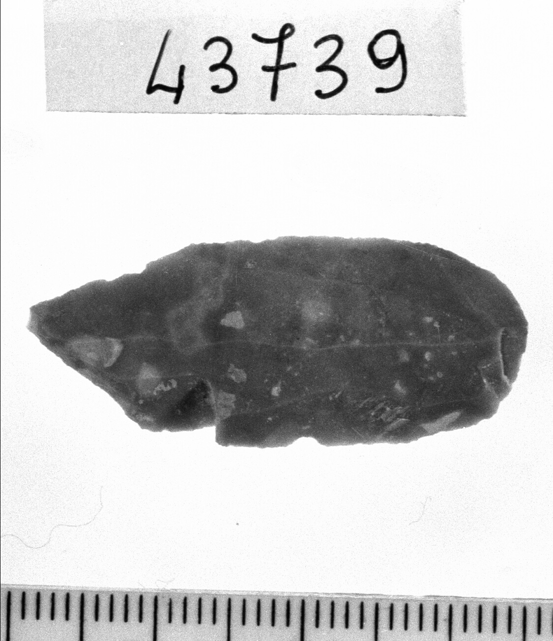 troncatura obliqua rettilinea - Epigravettiano (Paleolitico superiore)