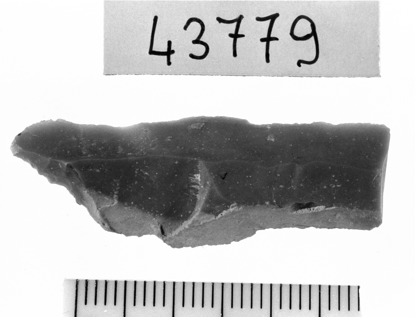 punta a dorso parziale/ frammento - Epigravettiano (Paleolitico superiore)