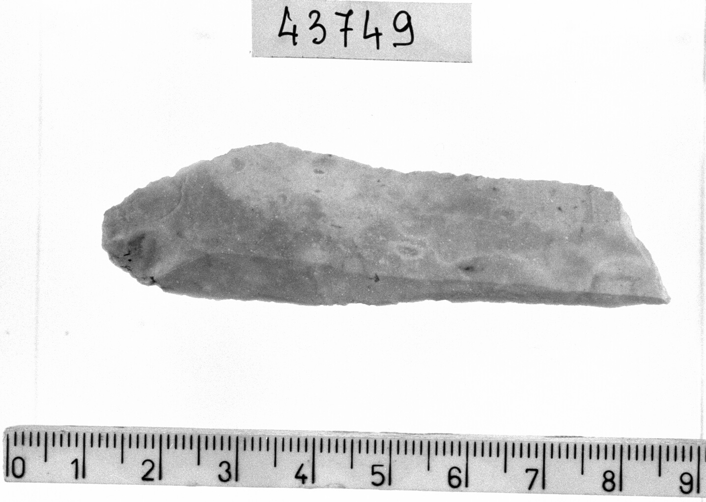 troncatura obliqua su lama - Epigravettiano (Paleolitico superiore)