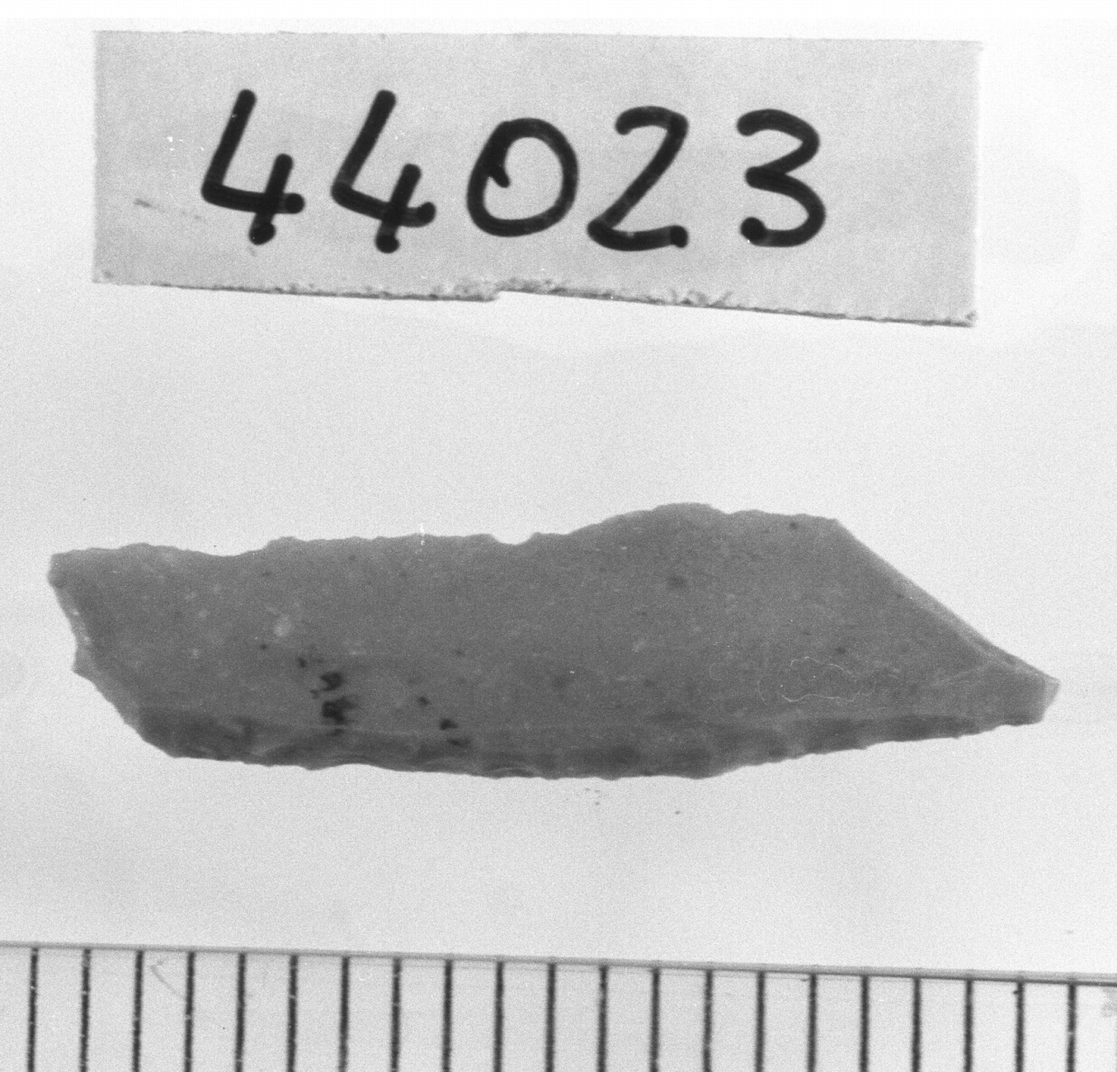 lamella a dorso e troncatura obliqua/ frammento - Epigravettiano (Paleolitico superiore)