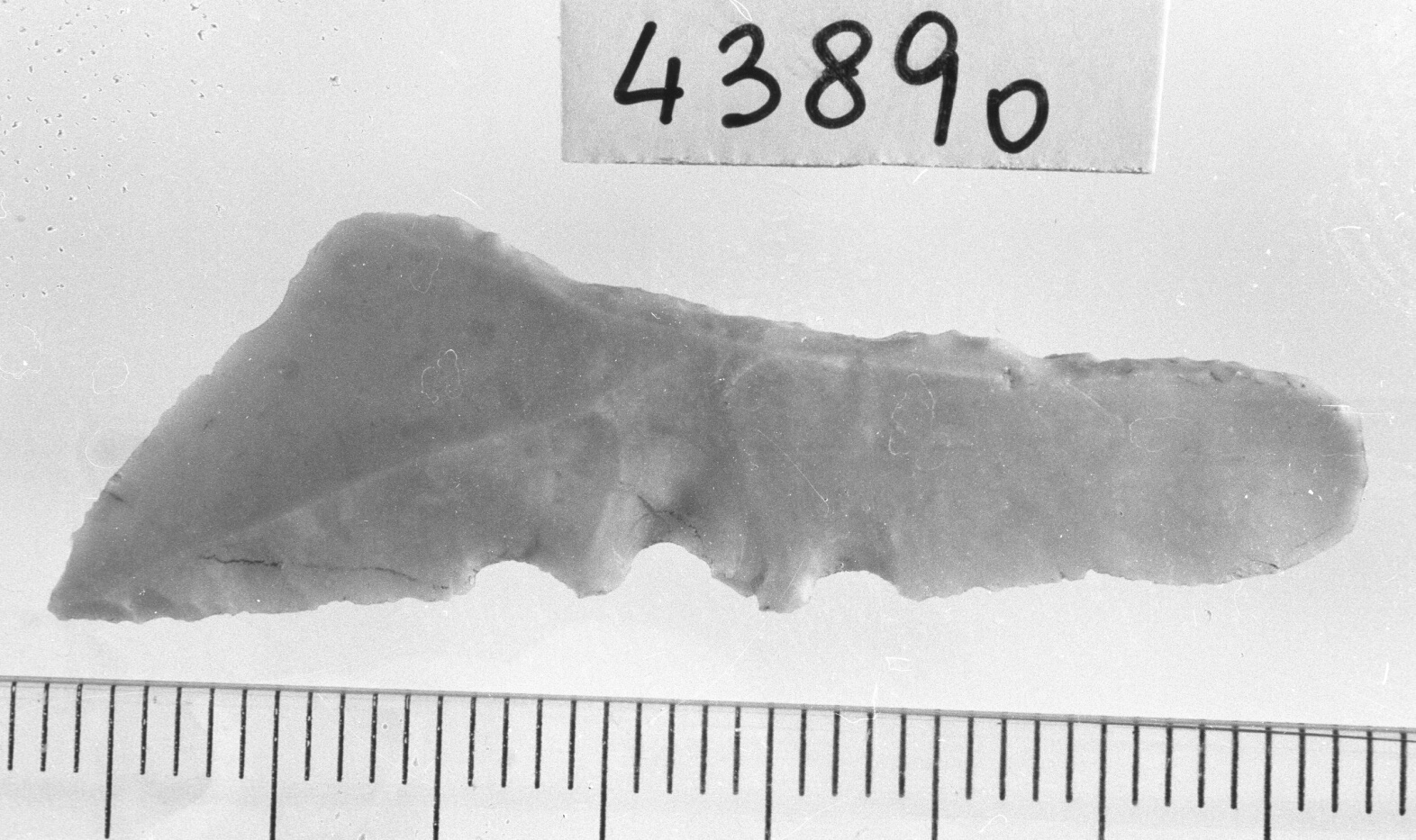 lamella a dorso e troncatura normale - Epigravettiano (Paleolitico superiore)