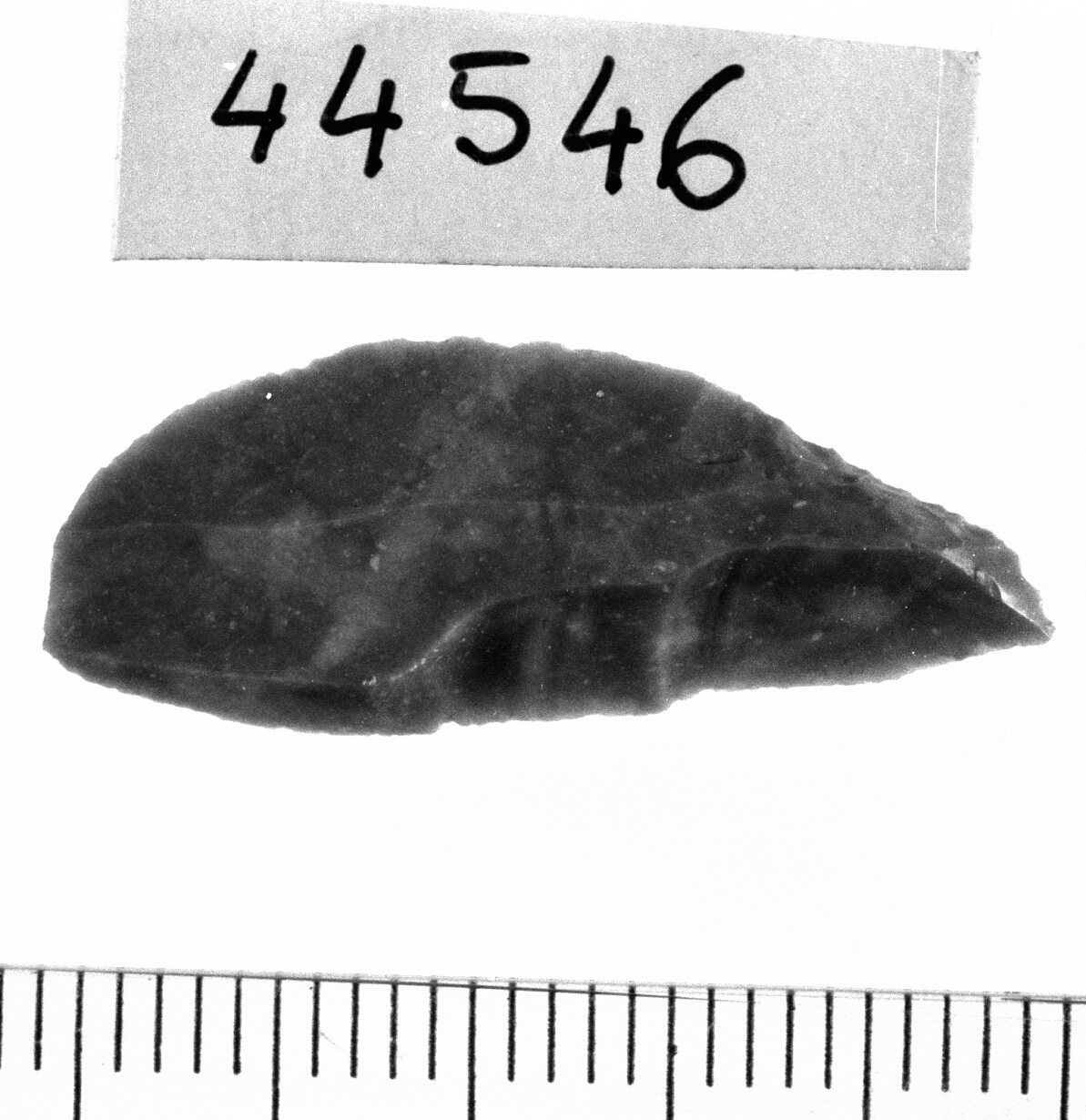 punta a dorso (Mesolitico)