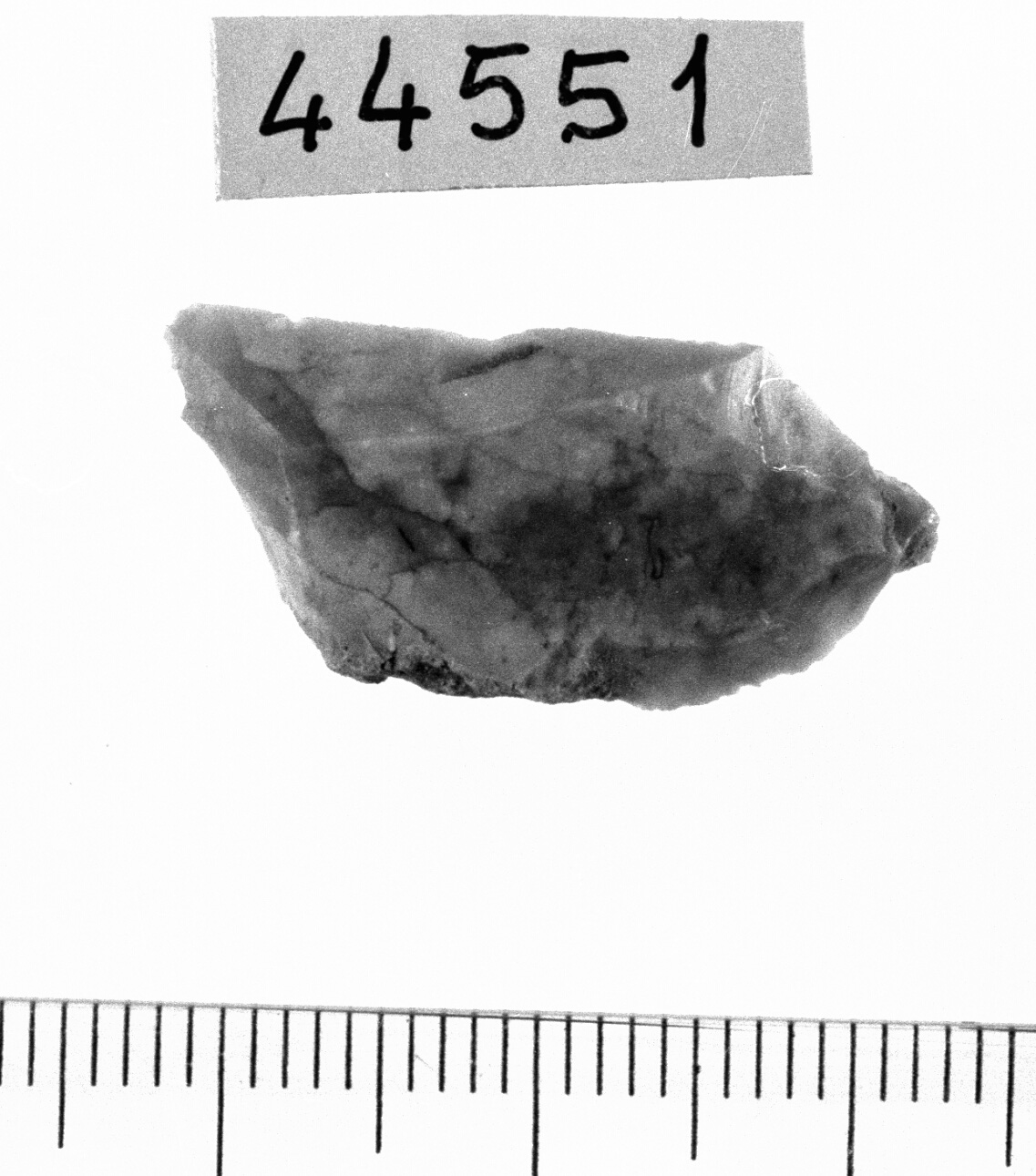 troncatura obliqua rettilinea (Mesolitico)