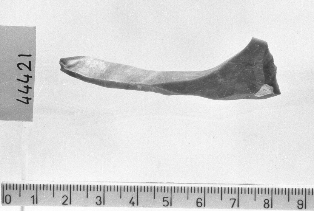 bulino su ritocco - Gravettiano (Paleolitico superiore)