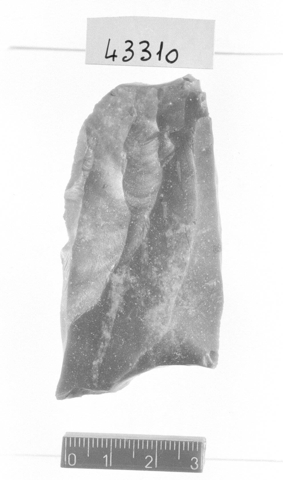 bulino a stacco laterale su ritocco trasversale - Gravettiano (Paleolitico superiore)