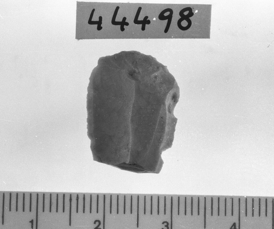 grattatoio frontale corto/ frammento - Epigravettiano (Paleolitico superiore)