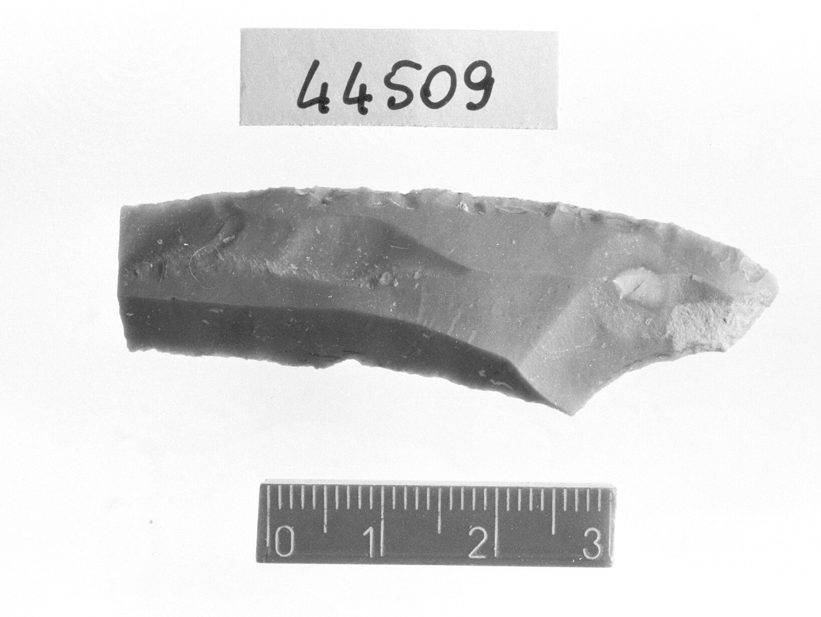 lama ritoccata/ frammento - Epigravettiano (Paleolitico superiore)