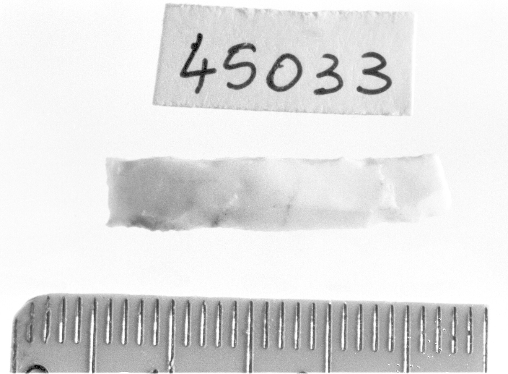 lamella a dorso e troncatura normale/ frammento - Epigravettiano (Paleolitico superiore)