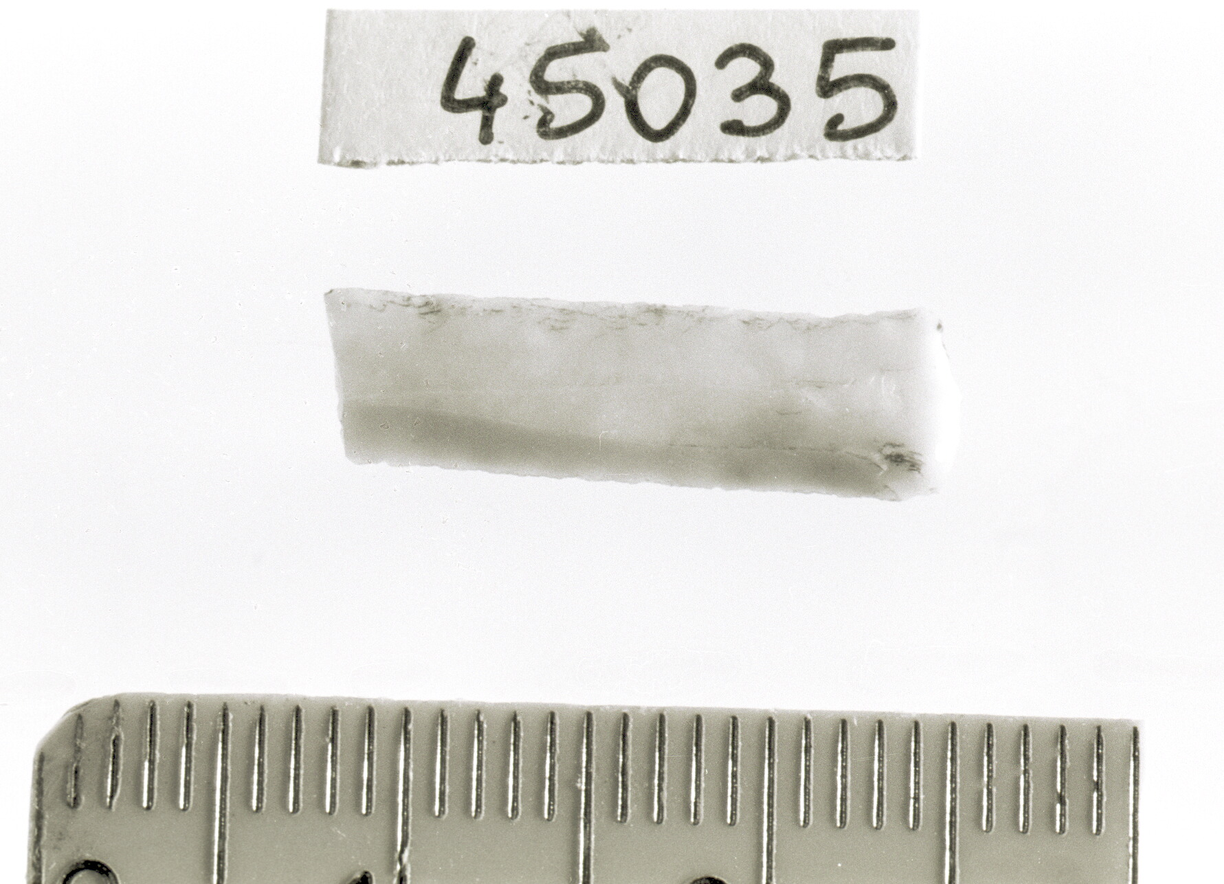 lamella a dorso e troncatura normale/ frammento - Epigravettiano (Paleolitico superiore)