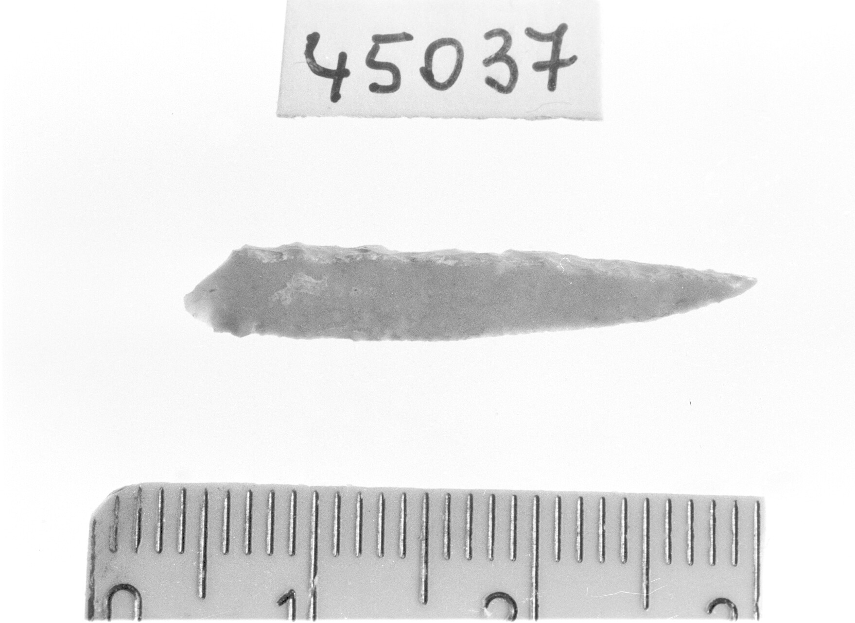 punta a dorso totale/ frammento - Epigravettiano (Paleolitico superiore)