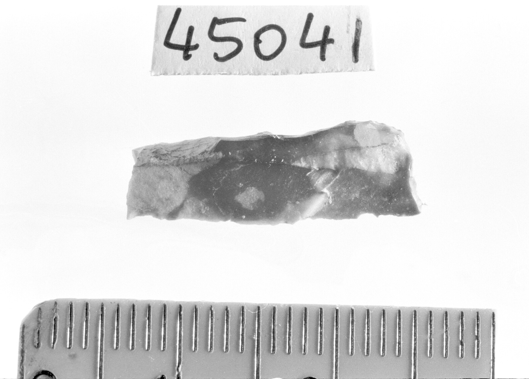 lamella a dorso e troncatura obliqua/ frammento - Epigravettiano (Paleolitico superiore)