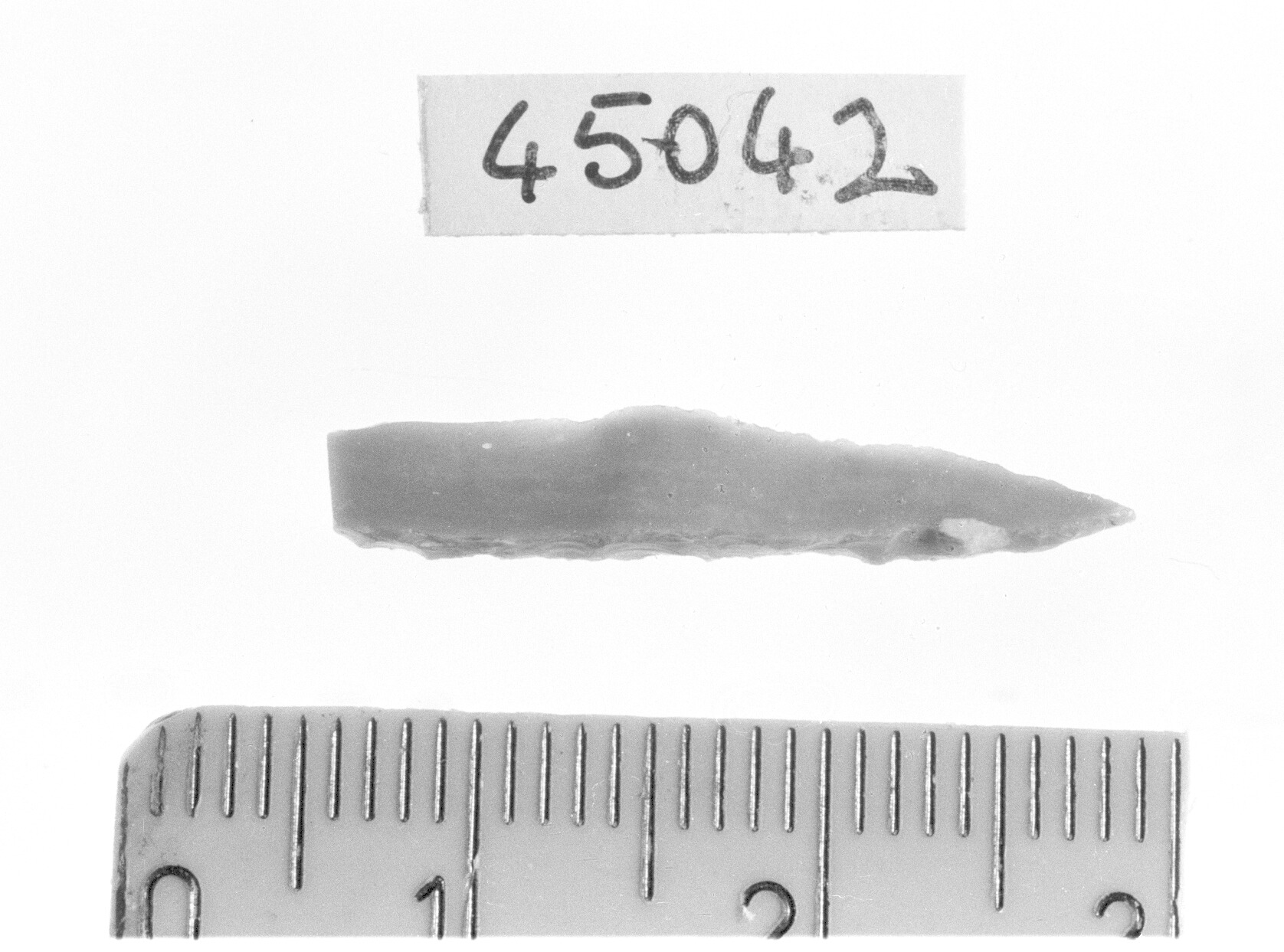 punta a dorso totale/ frammento - Epigravettiano (Paleolitico superiore)