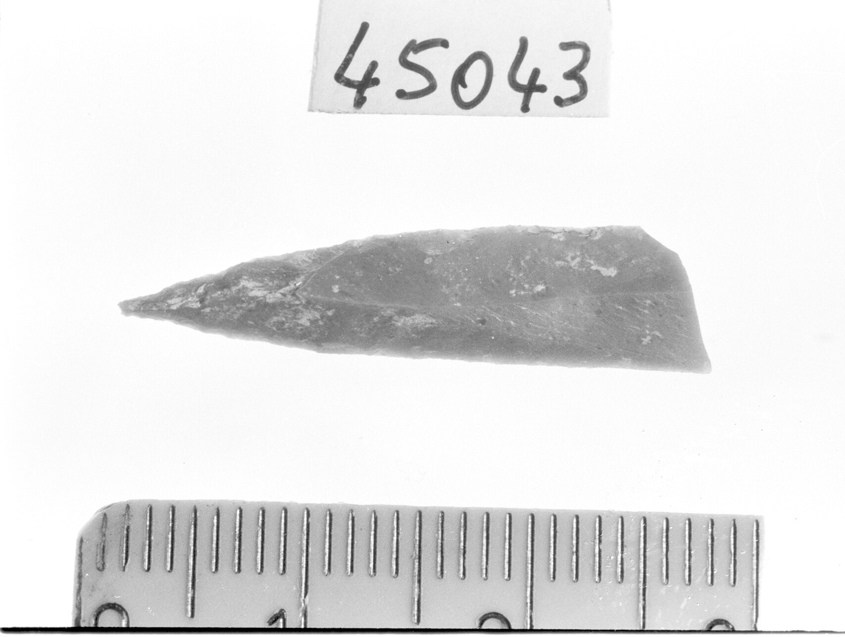 punta a dorso parziale/ frammento - Epigravettiano (Paleolitico superiore)