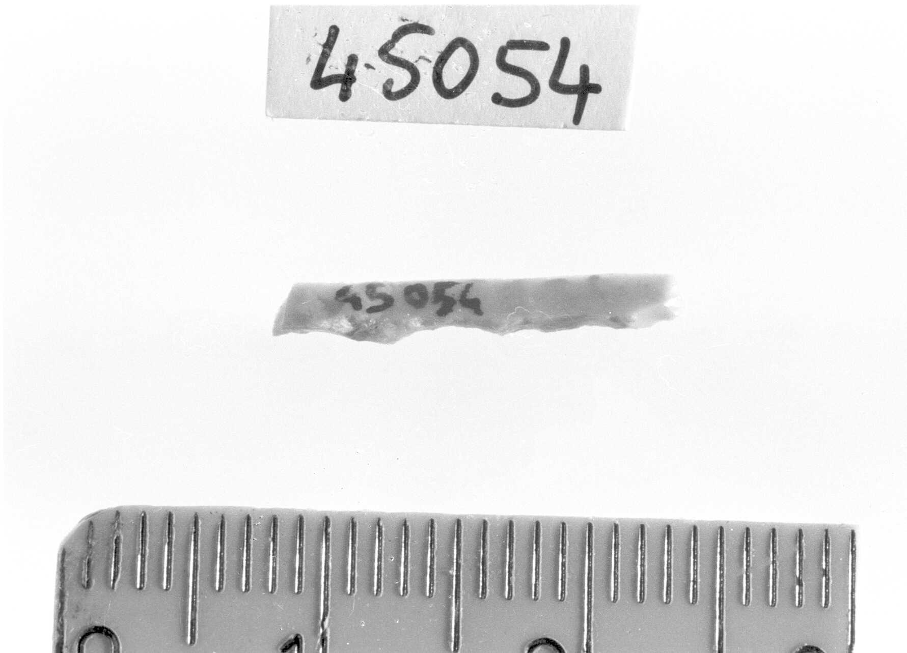 lamella a dorso e troncatura normale/ frammento - Epigravettiano (Paleolitico superiore)