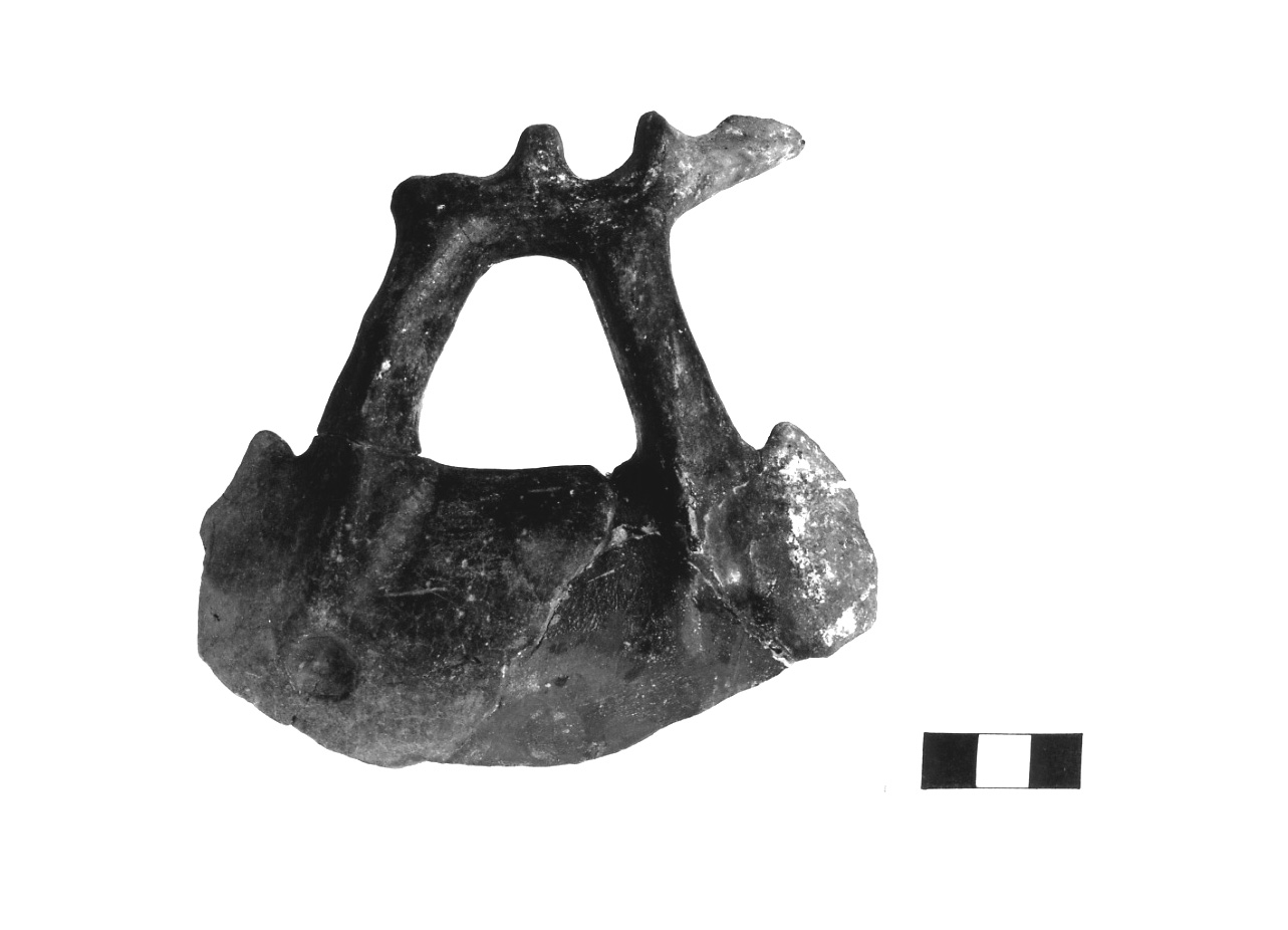 ciotola con ansa - fase Piceno IV A (sec. VI a.C)