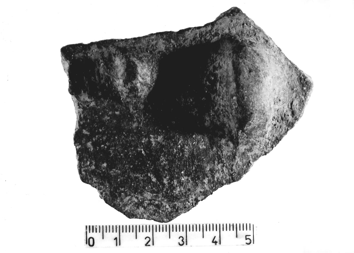 parete/ frammento (Subneolitico)