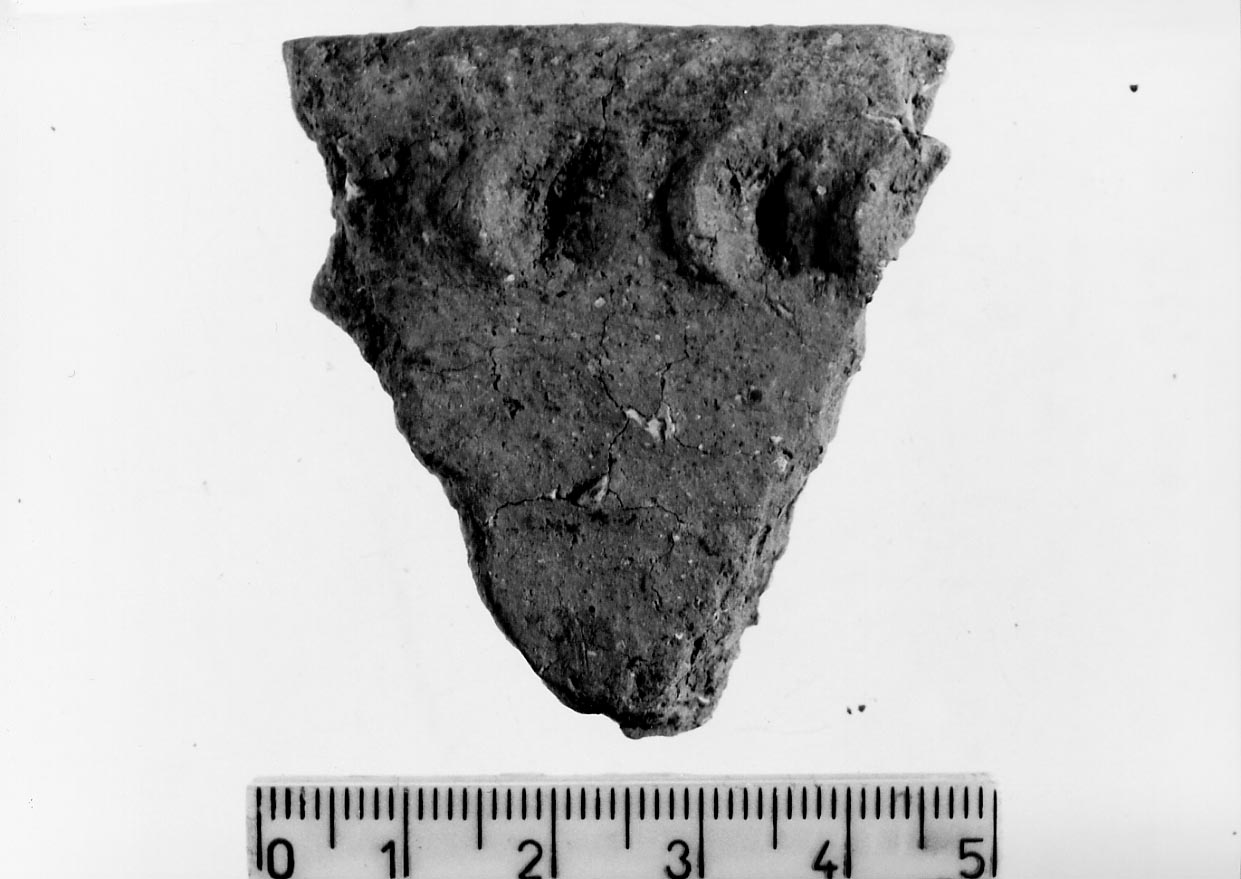 orlo/ frammento (Subneolitico)