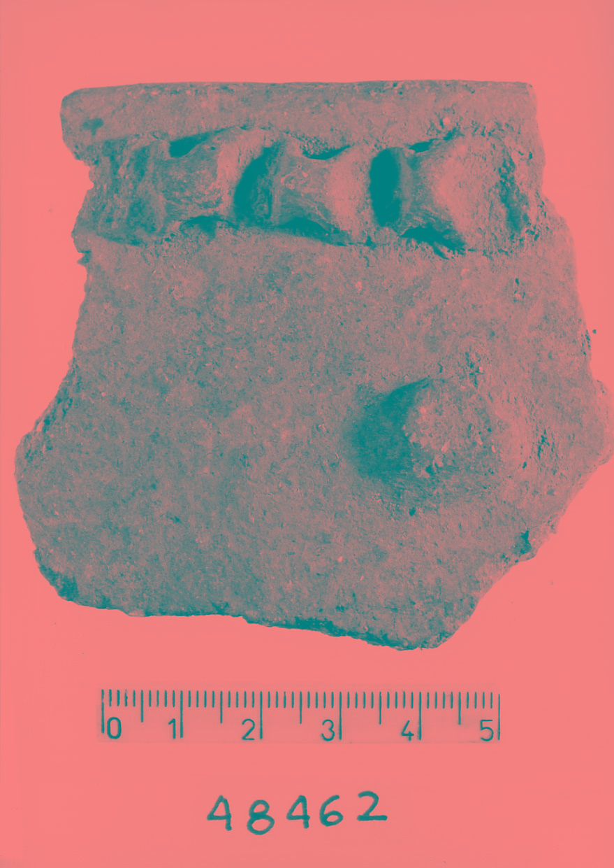 orlo/ frammento (Subneolitico)