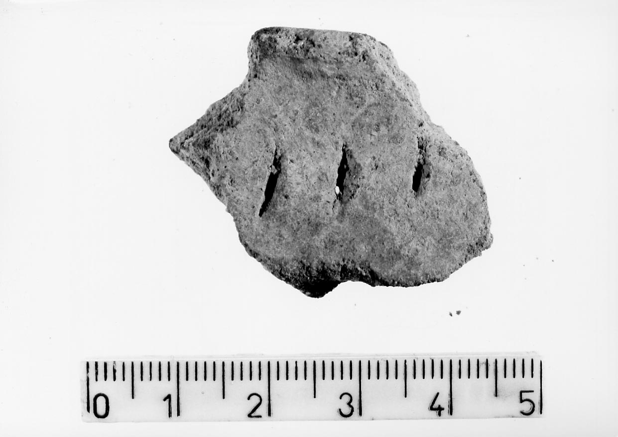 orlo/ frammento (Subneolitico)