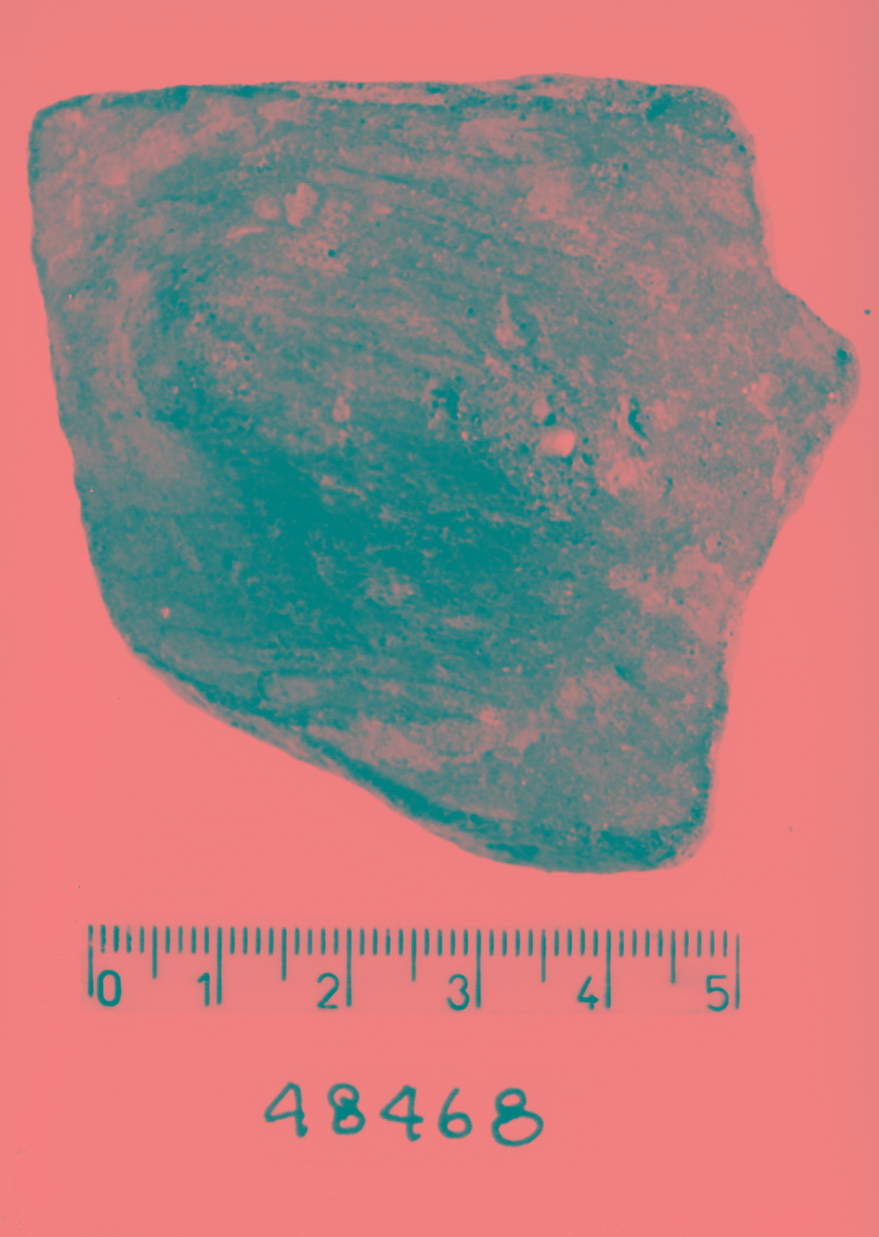 parete/ frammento (Subneolitico)