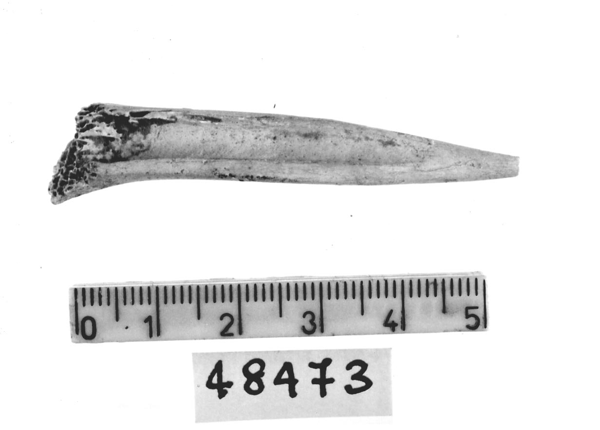 punteruolo (Subneolitico)