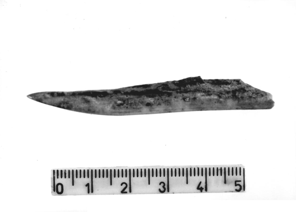 punteruolo/ frammento (Subneolitico)