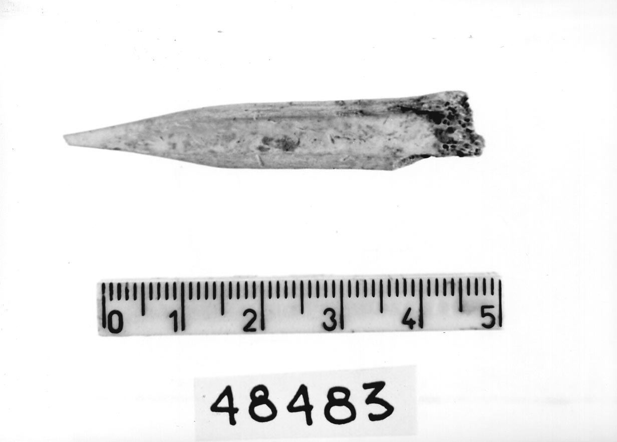 punteruolo (Subneolitico)