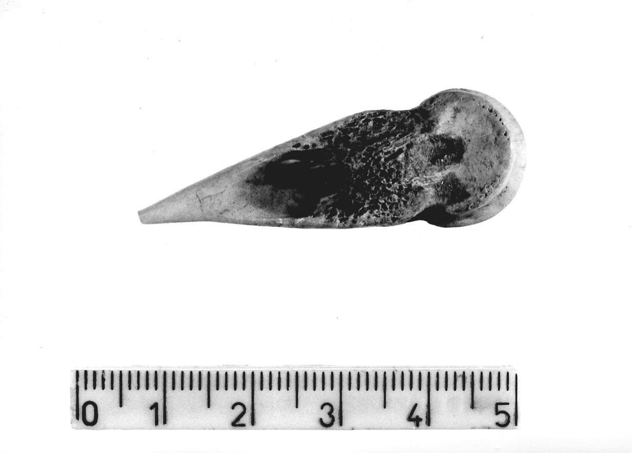 punteruolo (Subneolitico)