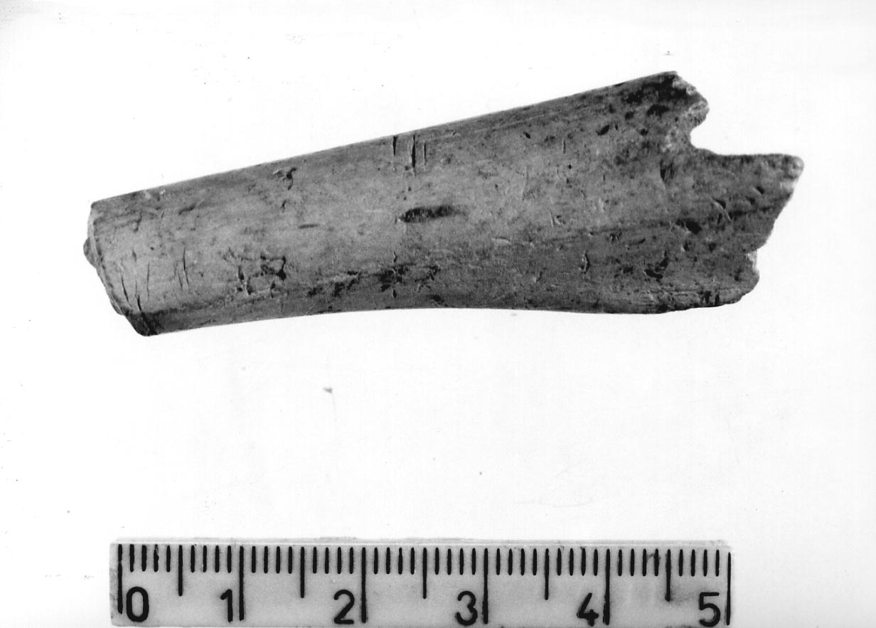 semilavorato/ frammento (Subneolitico)