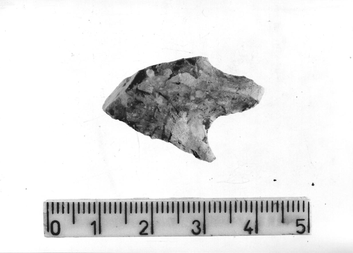 punta foliata peduncolata/ frammento (Subneolitico)