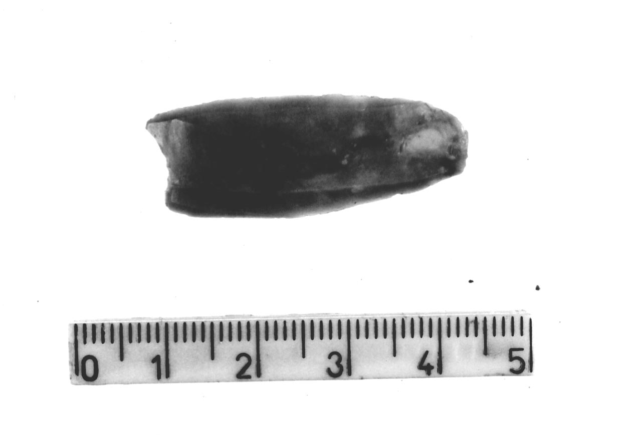 troncatura marginale concava (Subneolitico)