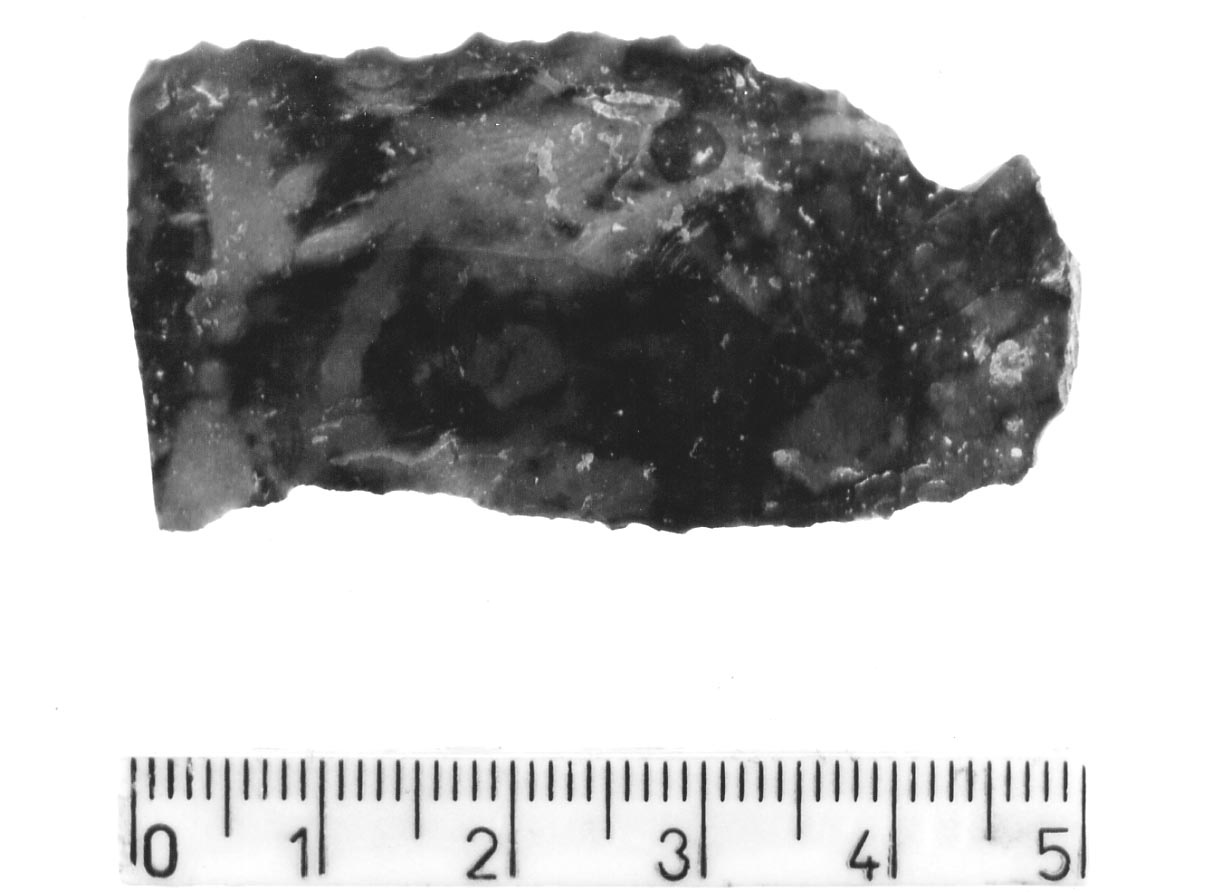 raschiatoio denticolato/ frammento (Subneolitico)