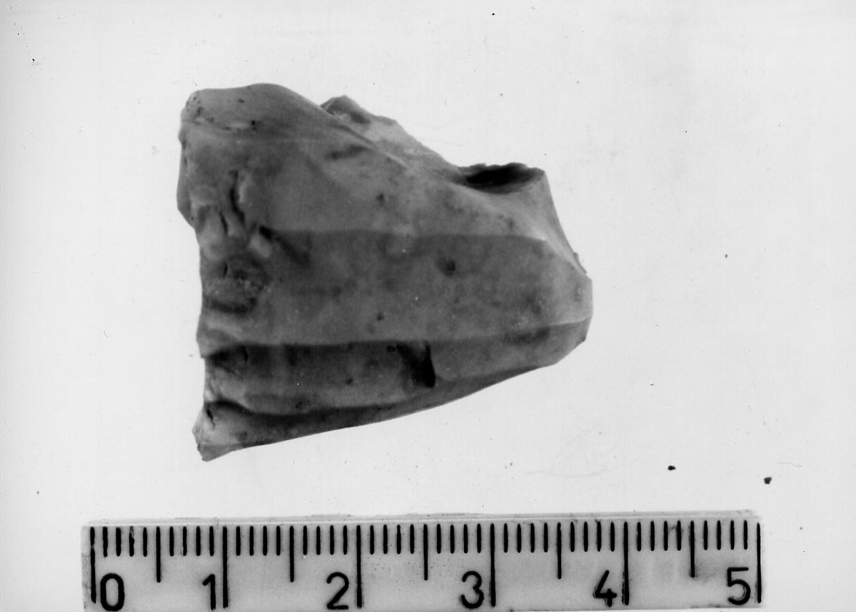 nucleo (Subneolitico)