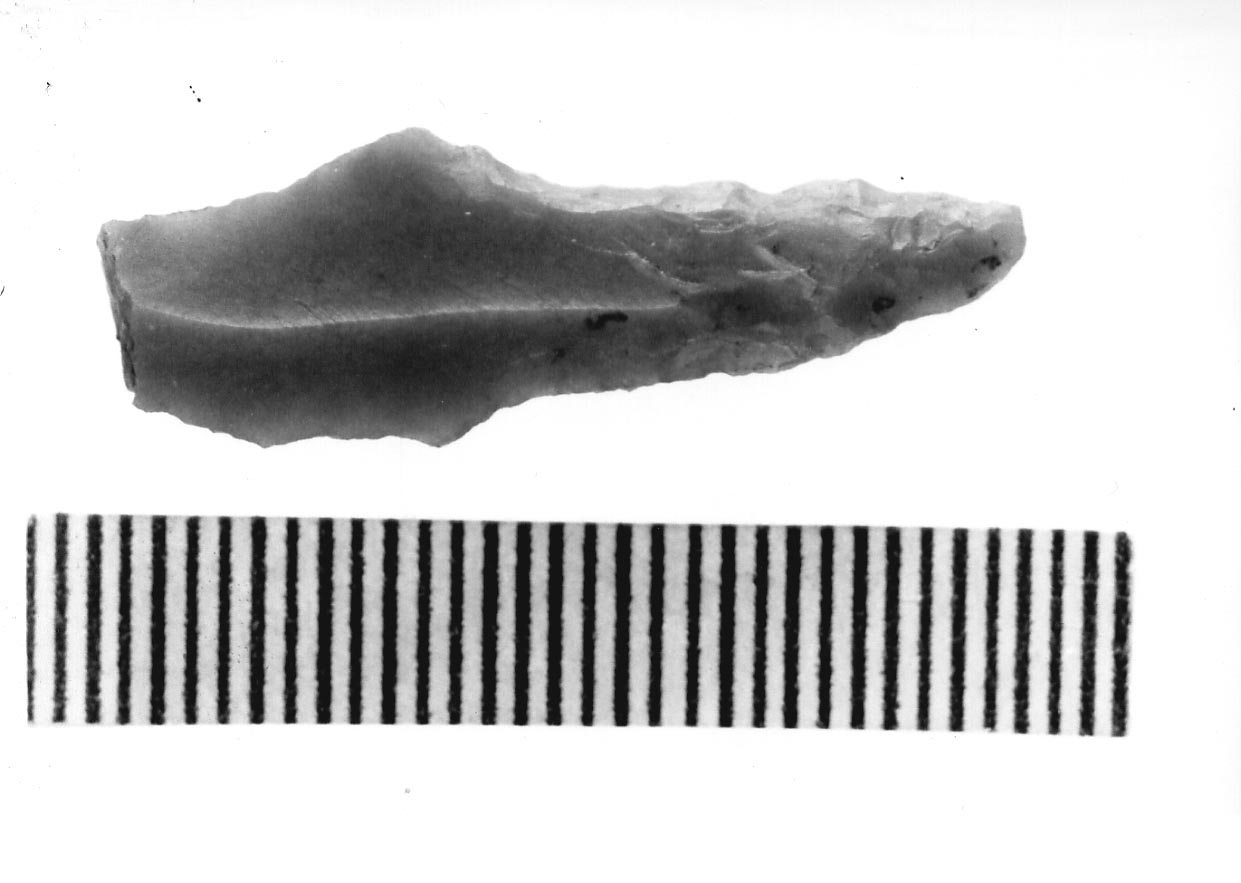 punteruolo peduncolato/ frammento (Subneolitico)