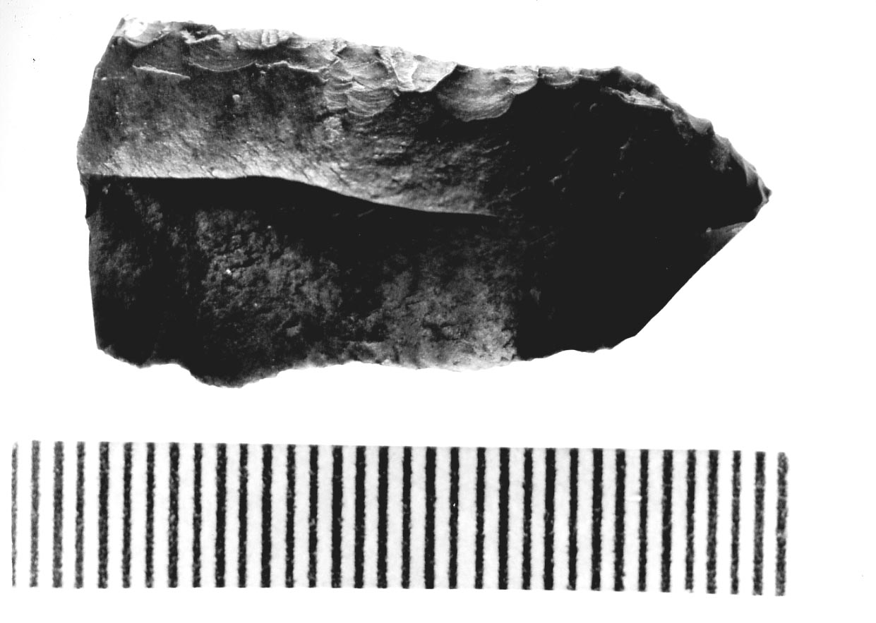 troncatura obliqua/ frammento (Subneolitico)