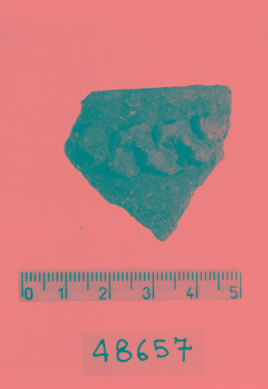 olla/ frammento (Subneolitico)