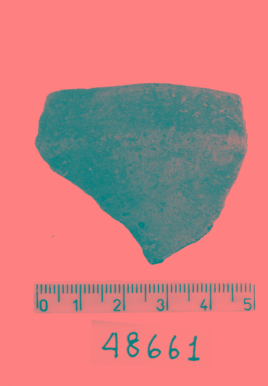 ciotola carenata/ frammento (Subneolitico)