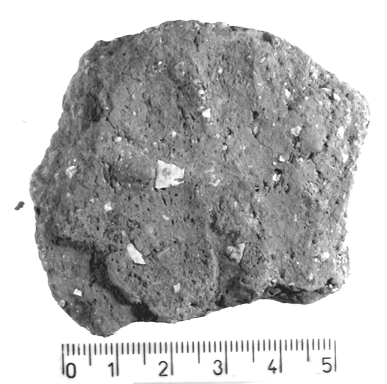 olla/ frammento (Subneolitico)