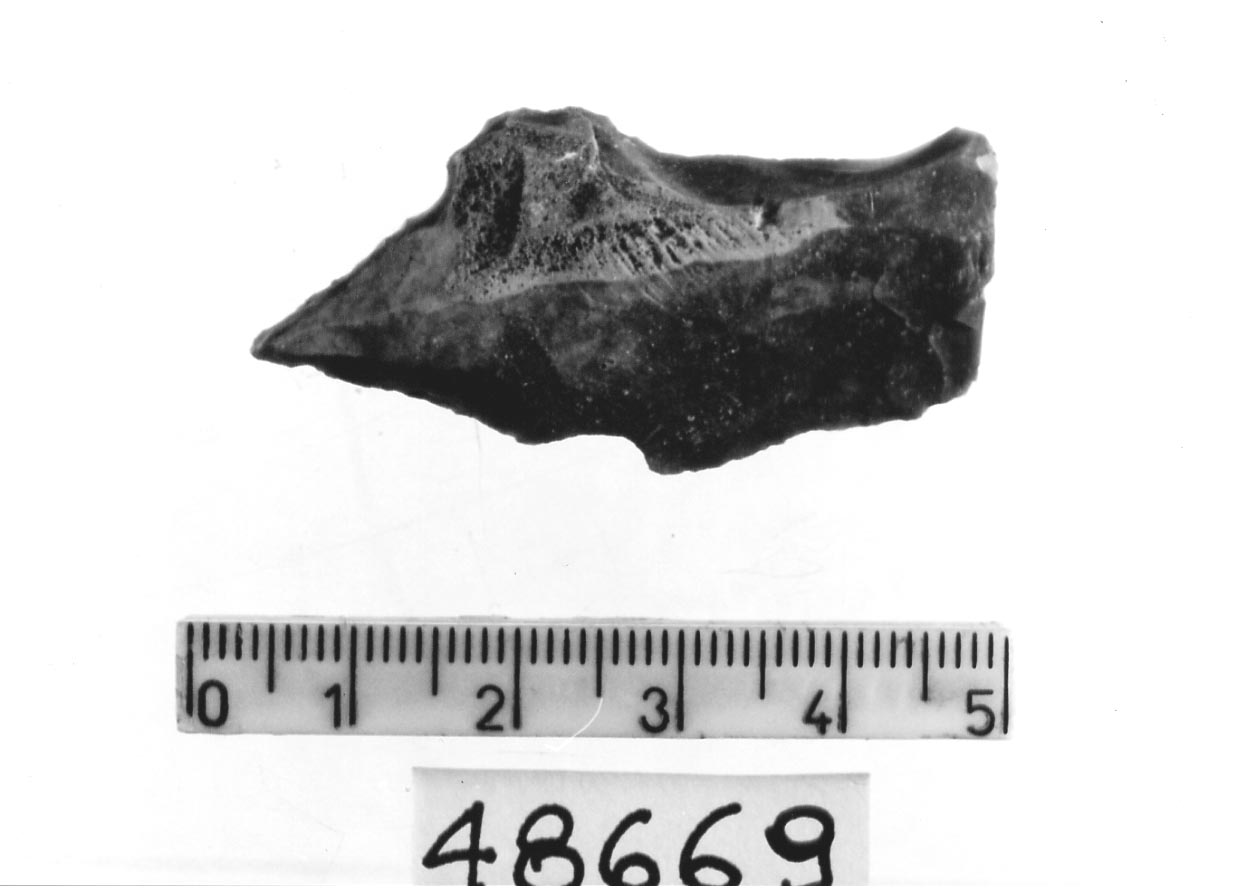 becco punta (Subneolitico)